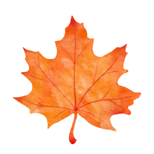 Watercolor painting of an orange maple leaf against a black background. Fall foliage in Atlanta, GA. Autumn leaf art.