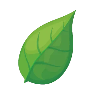 Cartoon leaf graphic. Fresh green leaf design for organic products. Nature illustration.